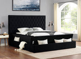 Yumi Upholstered Velvet Low Profile Platform Bed, Queen, Black - detail view