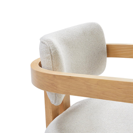 Tappelle Mid-Century Modern Dining Arm Chair - close-up