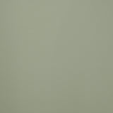Recency Mid-Century Modern Counter Height Stool in Soft Sage - room setting