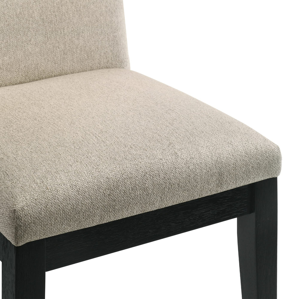 Terra Upholstered Cushion Fabric Mid-Century Modern Dining Chairs - back view