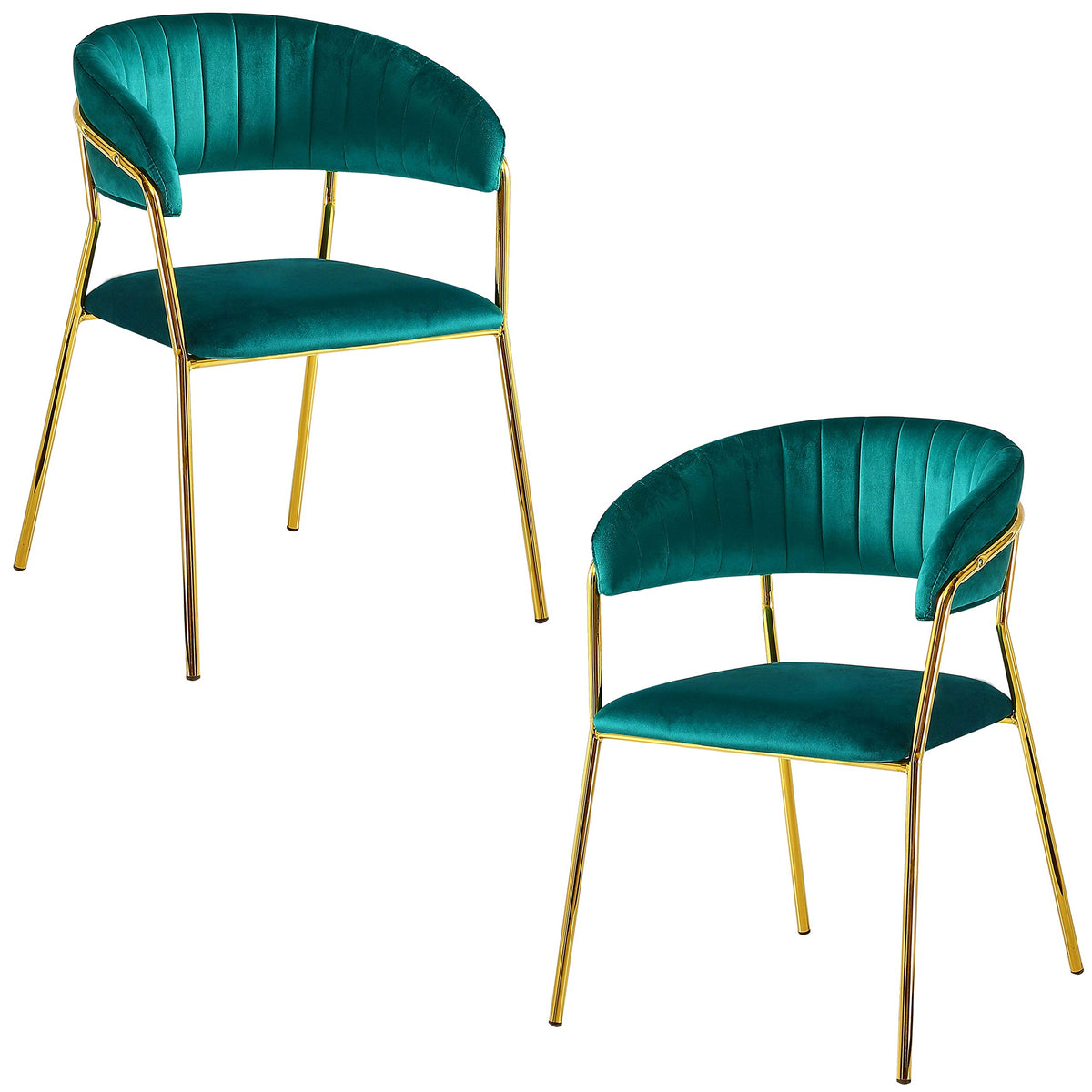 Tracy Modern Dining Chair
