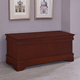 Pablo 47" Cedar-Lined Storage Chest - Traditional Flip-Top Blanket Chest in Warm Brown – view 1