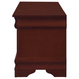 Pablo 47" Cedar-Lined Storage Chest - Traditional Flip-Top Blanket Chest in Warm Brown – view 6