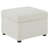 Winter Swivel Accent Chair & Lift-Top Storage Ottoman - Lift-Top Storage Ottoman