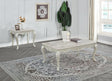 Tlerra 49" Rectangle Victorian Living Room Coffee Table - front view