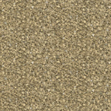 Galerie Energy Feathers Wallpaper