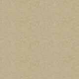 Galerie Energy Floral Wallpaper