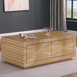 Tiffany Contemporary Gold Rectangular Coffee Table with Drawers - front view