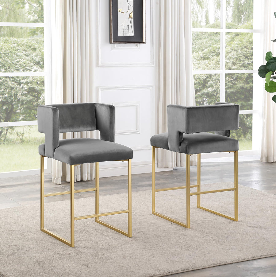 Leonard 36" Velvet Counter Height Stool - Set of 2 in Gray/Gold Frame