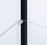 Delphinium Glass Curio Cabinet - 4 Clear Glass Shelves & Chrome Hardware in Black – view 9