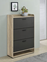 Denia 3-Tier Tilt-Out Shoe Cabinet with Open Lower Shelf - Slim Entryway Storage in Grey – view 1