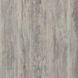 Alejo Tall Curio Display Cabinet with 2 Glass Doors - Coastal Grey Driftwood with Black Hardware – view 9