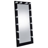 Zayan LED Full-Length Floor Mirror - 32 x 71 Inch Hollywood Glam in Black High Gloss – view 3