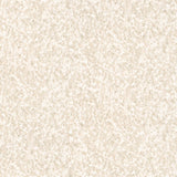 Galerie Earth Feathers Wallpaper