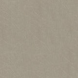 Galerie Earth Scored Wallpaper