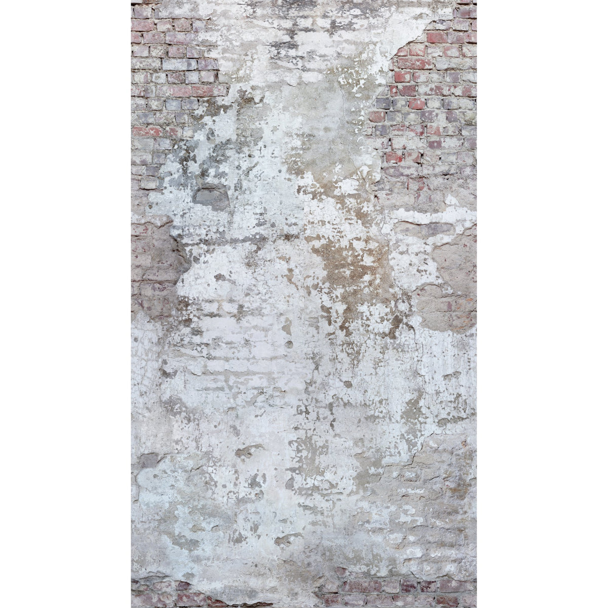 Galerie Orom II Photographic Motive Wall Mural