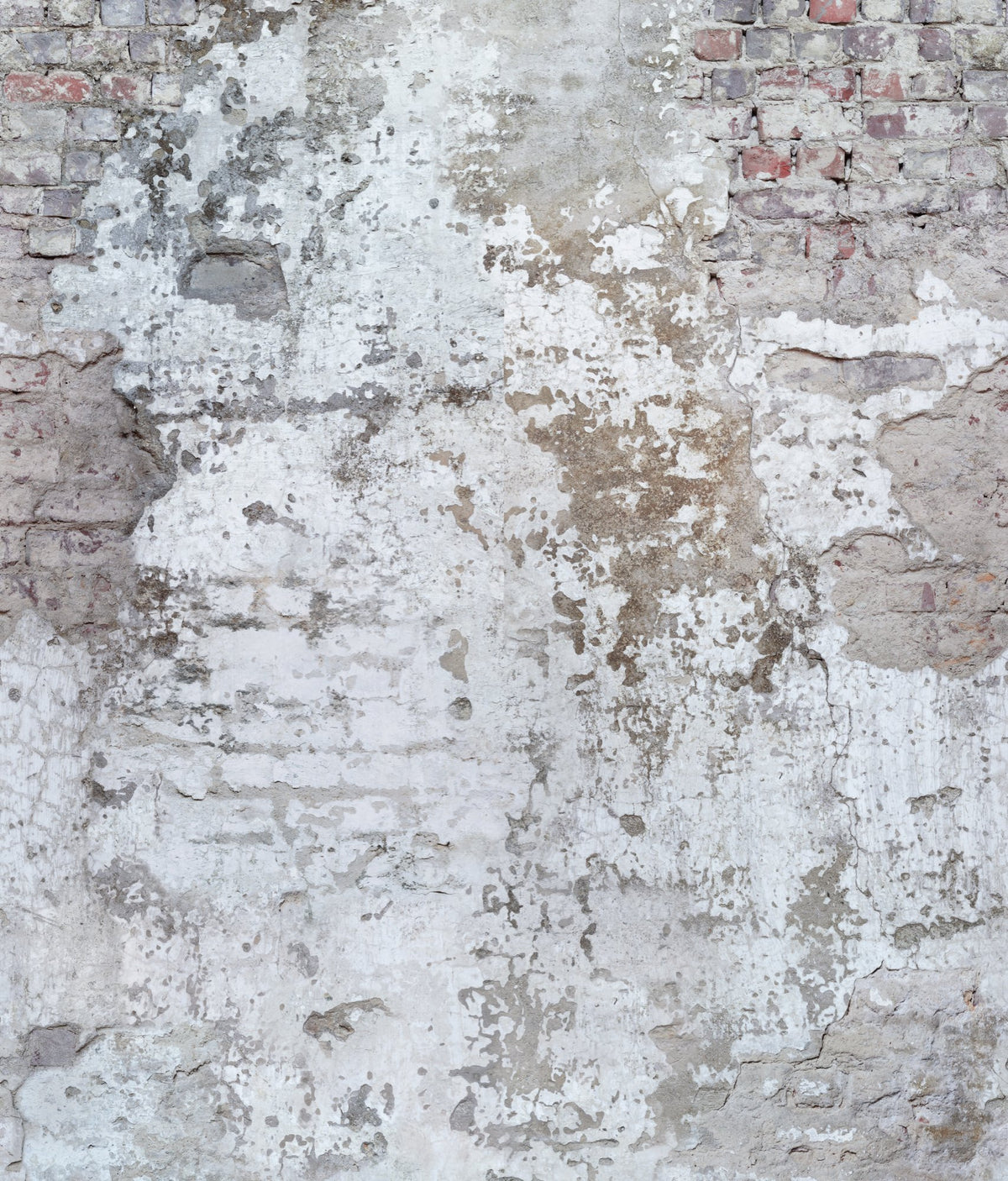 Galerie Orom II Photographic Motive Wall Mural