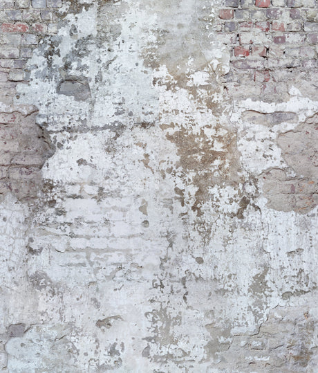Galerie Orom II Photographic Motive Wall Mural