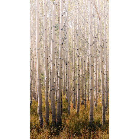 Galerie Orom II Trees all-over Wall Mural