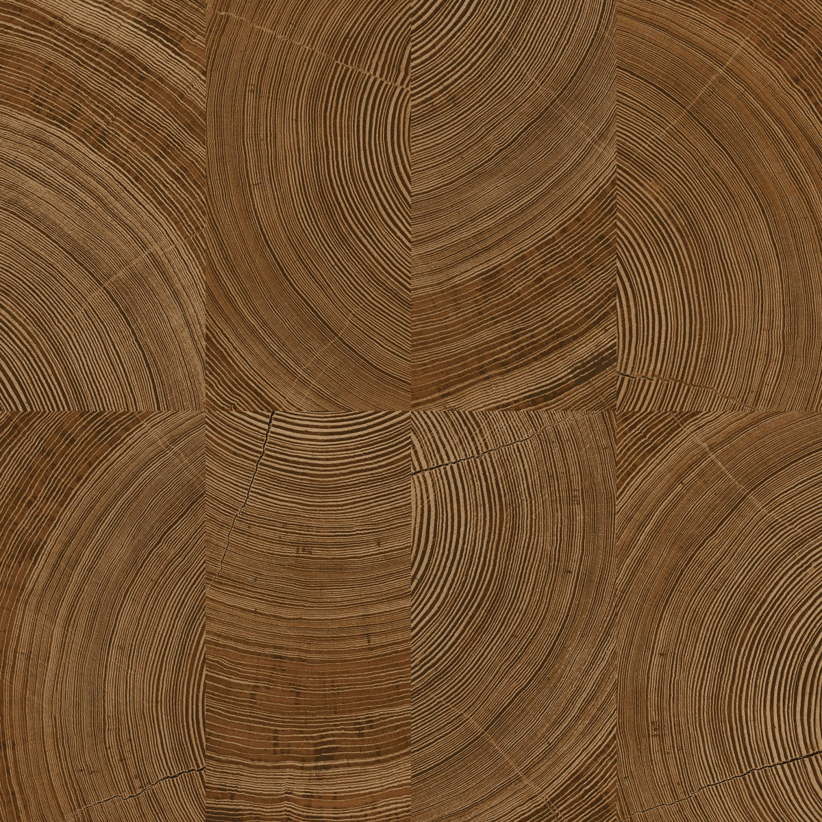 Galerie Karuna Photographic Motive Wallpaper