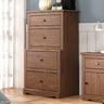 Stavros Rustic Youth Bedroom Storage - Chest