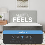 Blissful Nights 10 Inch Rose Medium Mattress - Cooling Comfort