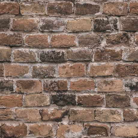 Galerie The Bricks And More Brickshire Residents Motif Wallpaper
