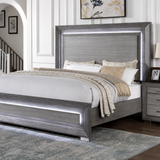 Raiden Queen Bedroom Set with Integrated LED Lighting and USB Charging - Transitional & Brushed Gray Finish