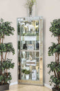 Chouteau Contemporary Curio Cabinet - 