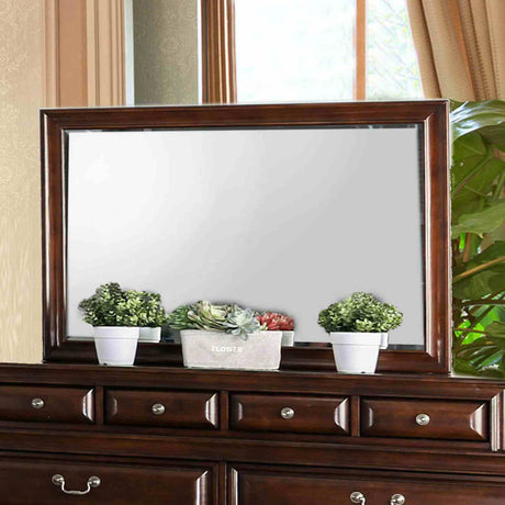 Brandt Transitional Storage Bed & Bedroom Collection - Mirror