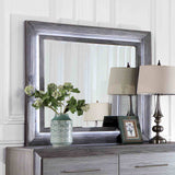 Raiden Transitional LED Bed, Bedroom Set & Case Pieces - Mirror w/ LED