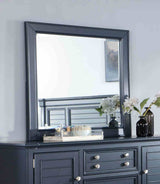Manzanillo Transitional Storage Bed & Bedroom Collection - Mirror