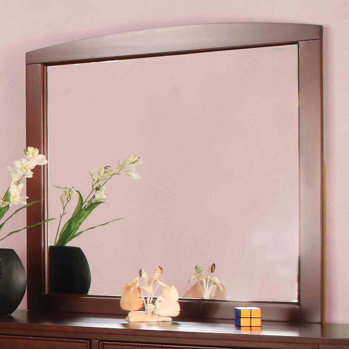 Omnus Transitional Youth Bedroom Furniture - Mirror