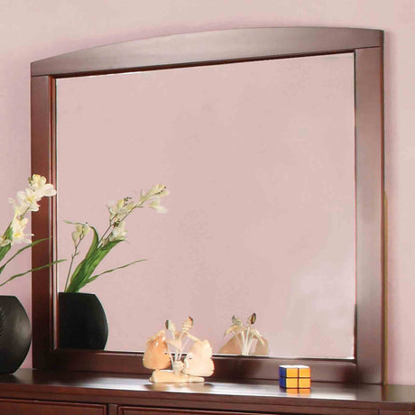 Omnus Transitional Youth Bedroom Furniture - Mirror
