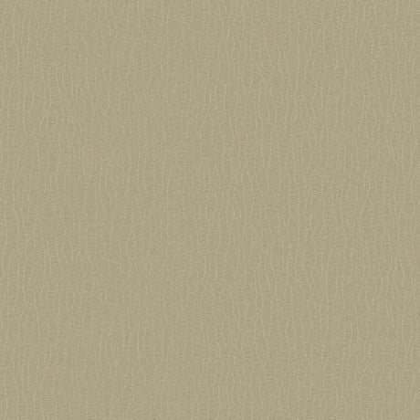 Galerie Designer Colors Abstract Lines Wallpaper