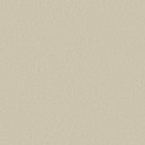 Galerie Designer Colors Even Texture Wallpaper