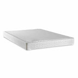 Bird of Paradise 11" Euro Pillow Top Innerspring Mattress & Foundation - Twin
