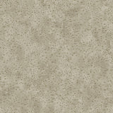 Galerie Lustre Spot Wallpaper
