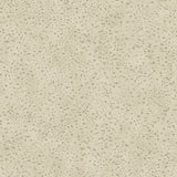 Galerie Lustre Spot Wallpaper