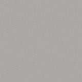 Galerie Zen Fan Fleck Wallpaper