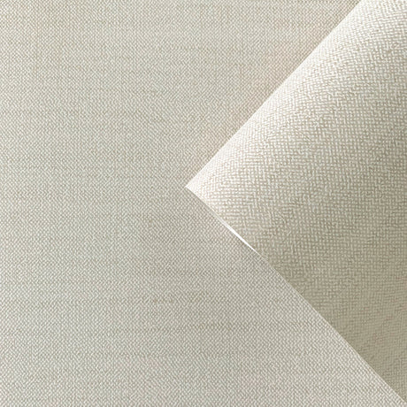 Galerie Boutique Plain Texture Wallpaper