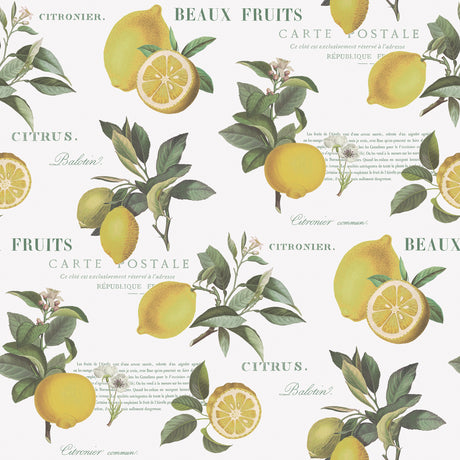Galerie Just Kitchens Citron Botanical Wallpaper