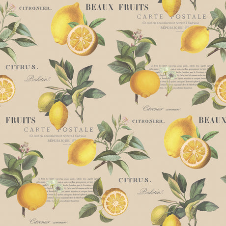 Galerie Just Kitchens Citron Botanical Wallpaper