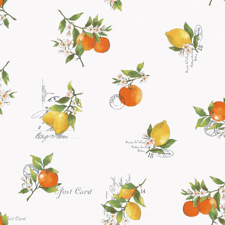 Galerie Just Kitchens Citrus Toss Wallpaper