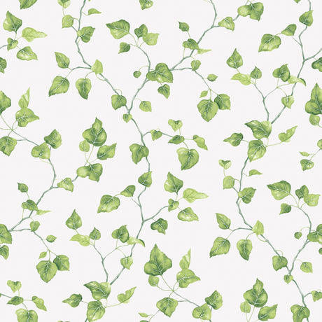 Galerie Just Kitchens Just Ivy Wallpaper