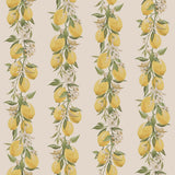 Galerie Just Kitchens Lemon Stripe Wallpaper