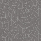 Galerie Special FX 2 Glitter Web Wallpaper