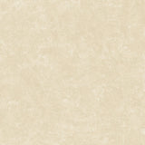 Galerie Palazzo 2 Stucco Texture Wallpaper