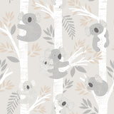 Galerie Tiny Tots 2 Koalas Wallpaper