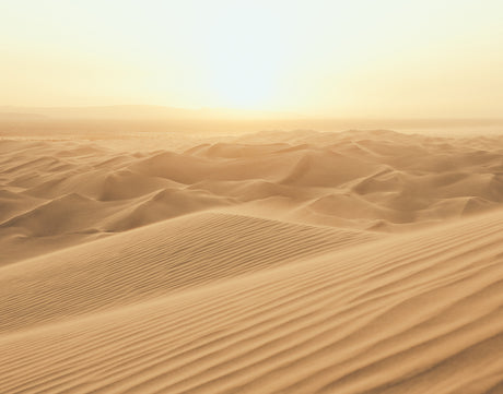 Galerie Atmosphere Desert Sands Wall Mural